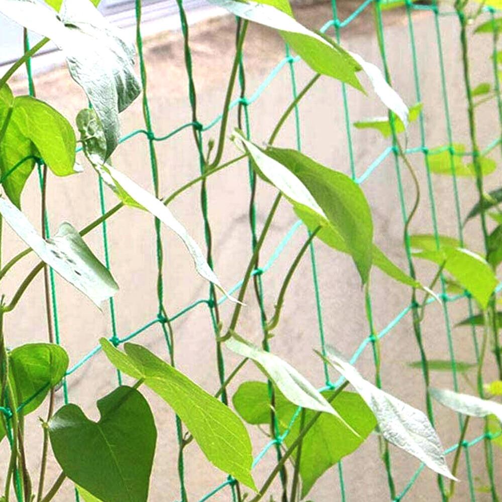 데팡스 텃밭 식물 원예 그물 오이 호박 망 넝쿨그물 넝쿨망 가든네트 0.9m x 1.8m