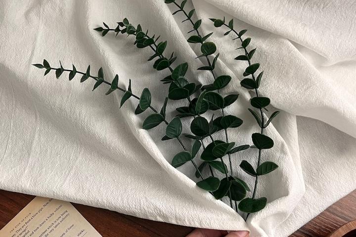 유칼립투스 조화