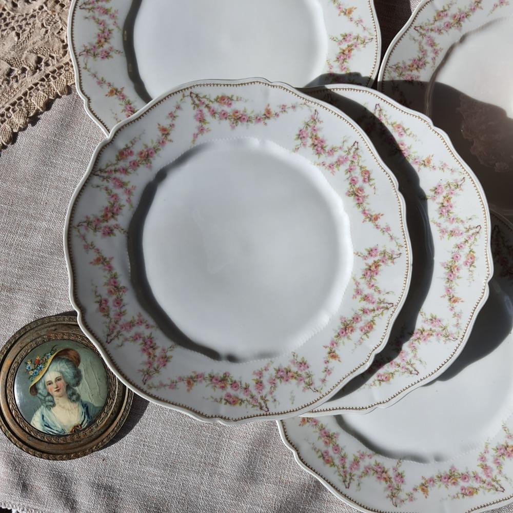 프랑스 하빌랜드 145페턴