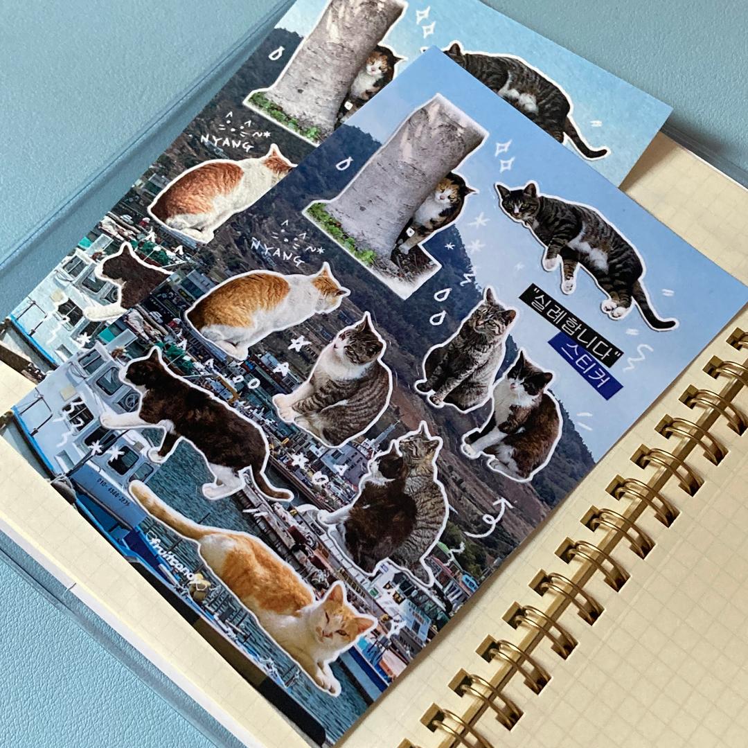 ❝실례합니다❞