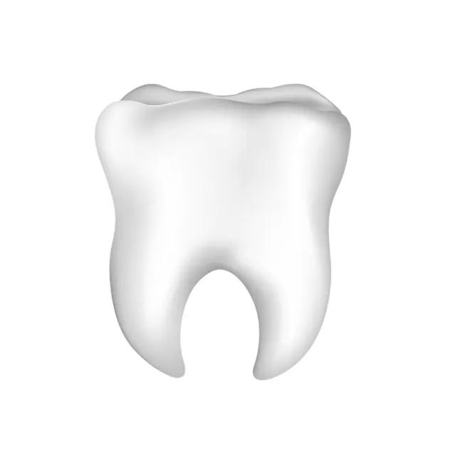 [에이블리 단독] ttt (teeth-tooth-teeth) epoxy tok 이빨 에폭시 톡