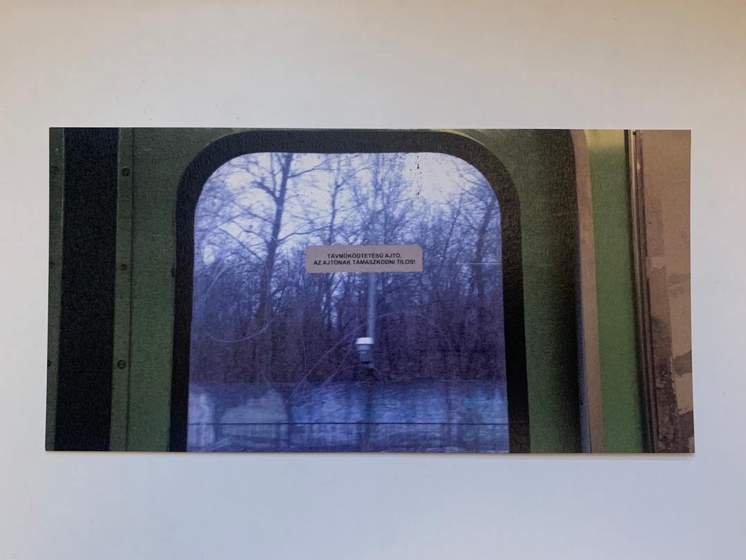 Night Train forêt Post Card