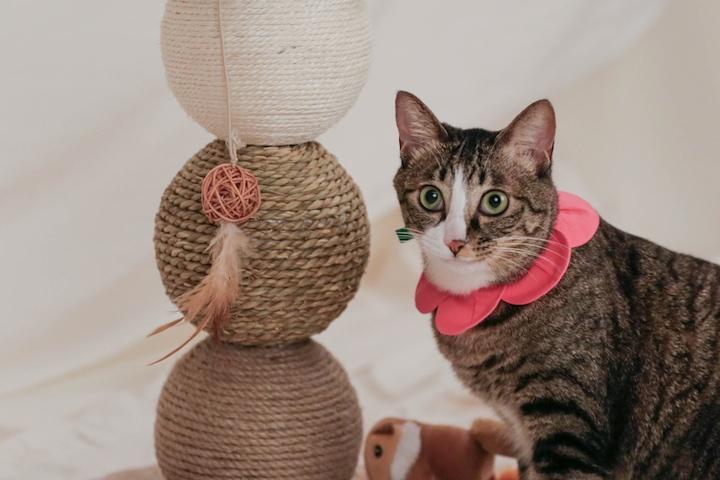 고양이 삼줄 볼 수직형 스크래쳐 장난감