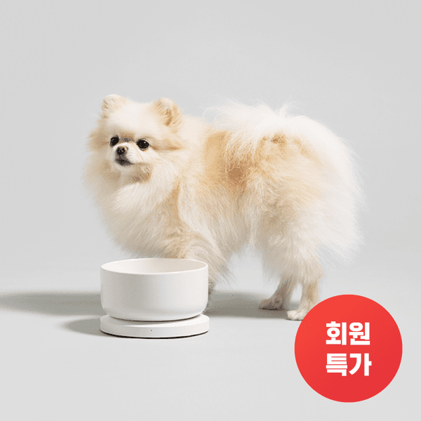[VIP] 스마트 음수케어 웰리 수반 (강아지, 고양이 수반)