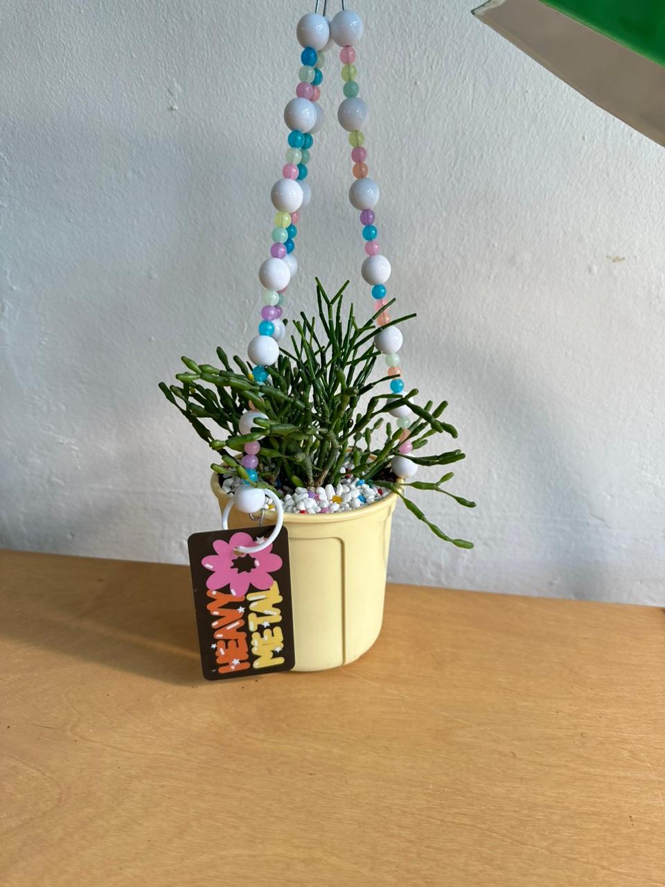 비즈행잉 립살리스 팝아이