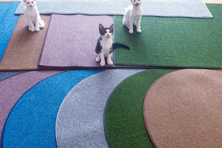 고양이 스크래쳐 카페트 매트 러그 펫테리어 주문제작