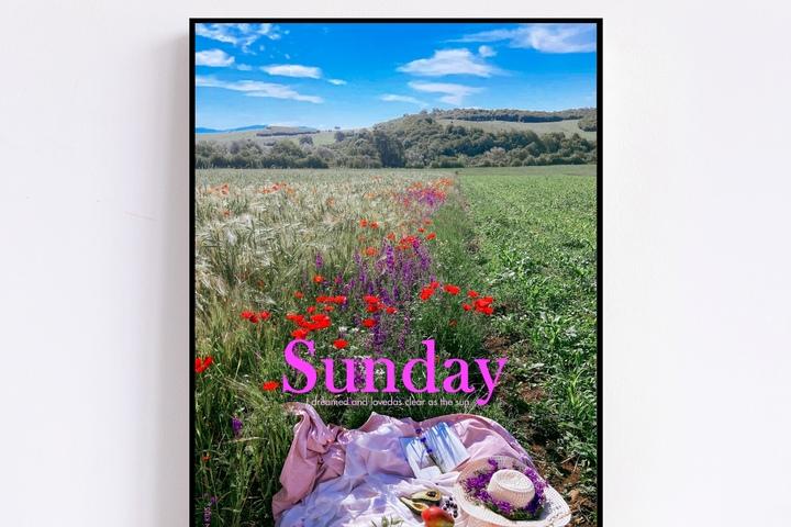 Daily Musee  #249 Sunday 방꾸미기 자연 여행포스터 액자