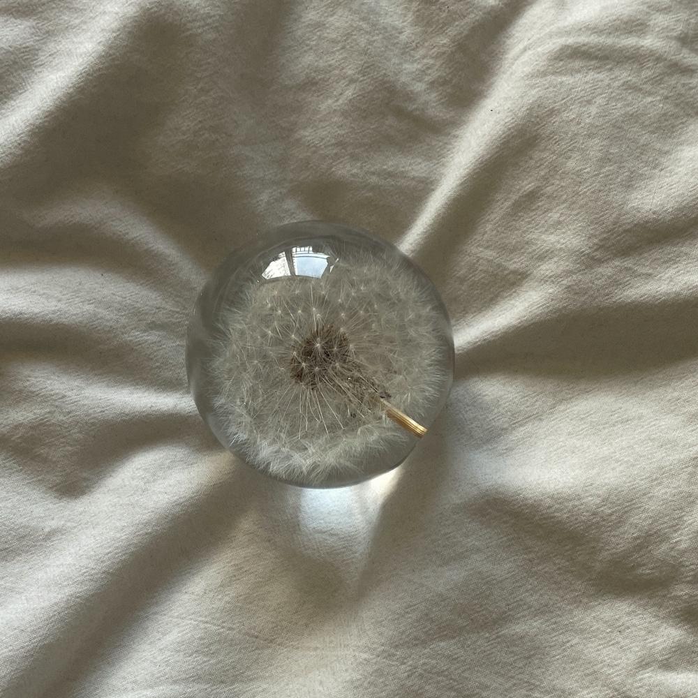 Dandelion 민들레 오브제 문진