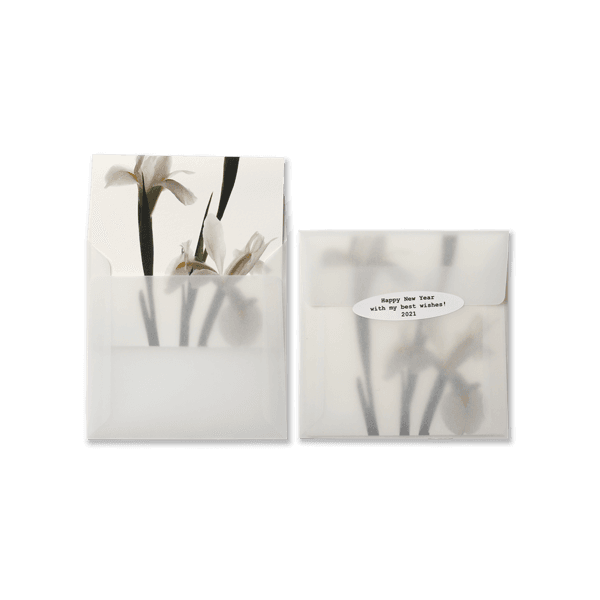 Flower Card l Iris 아이리스