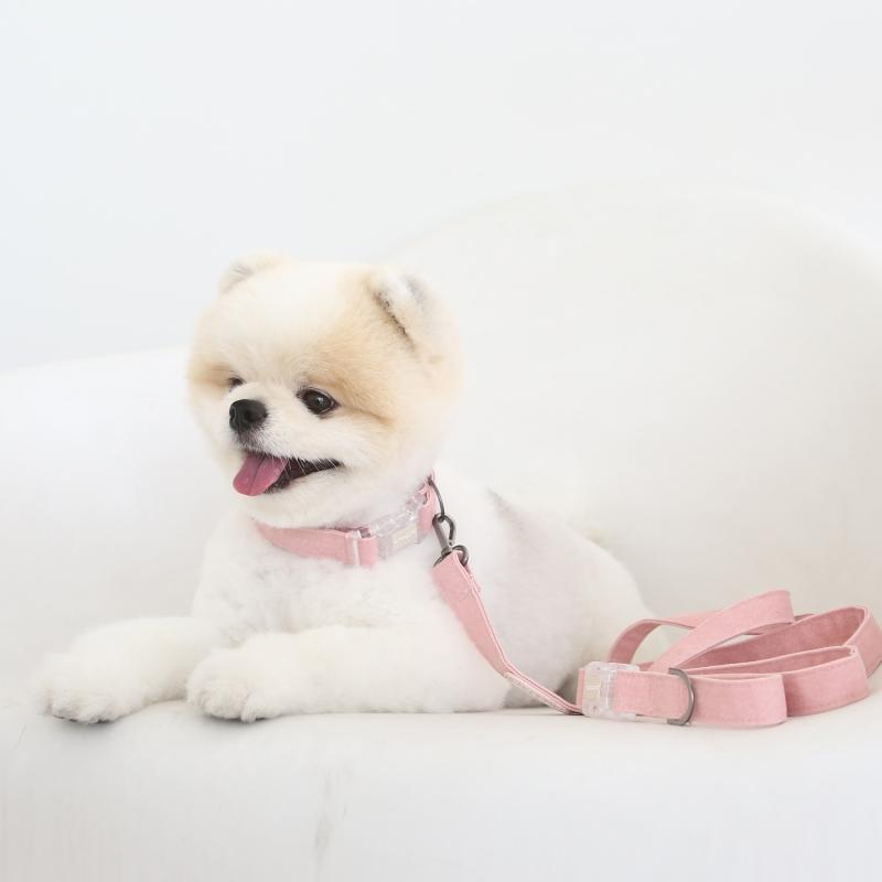 러비 스마트 리드줄 150cm - 5color