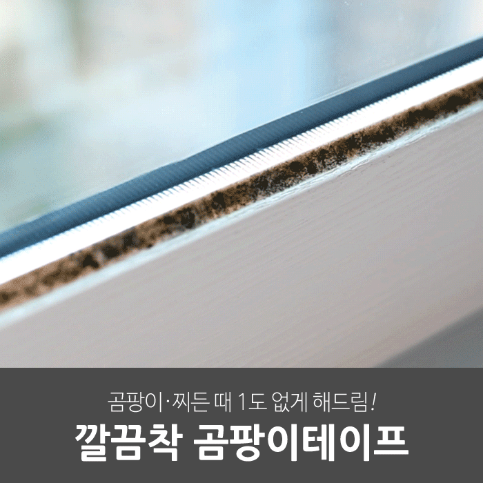 일상공감 깔끔착 곰팡이테이프