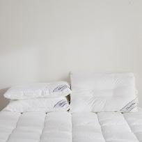 다운필 경추베개 50x70