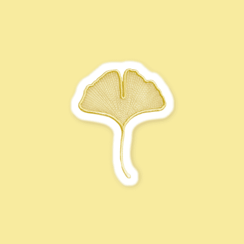 [소언] 북마크  - GINKGO