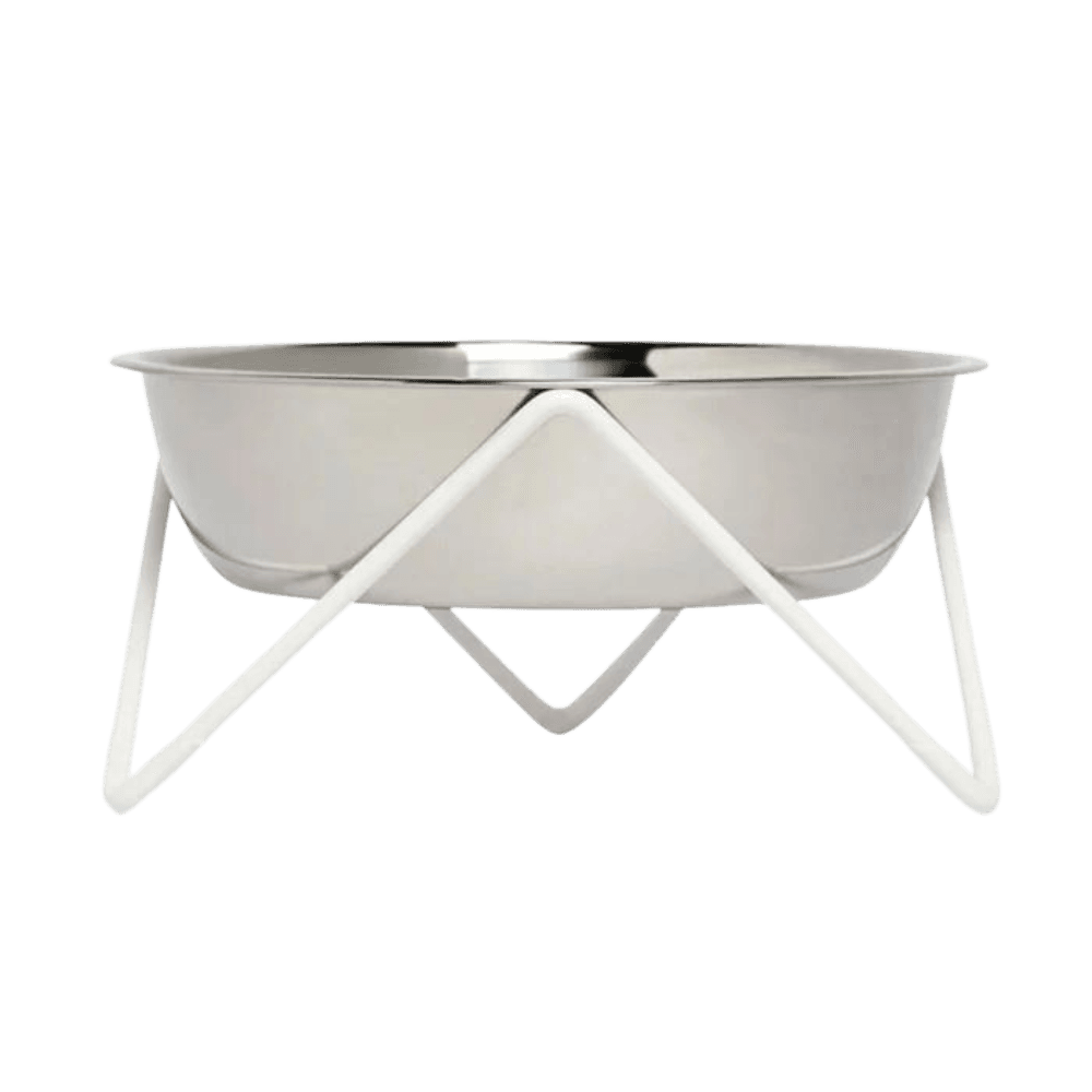 Elevated Dog Bowl
