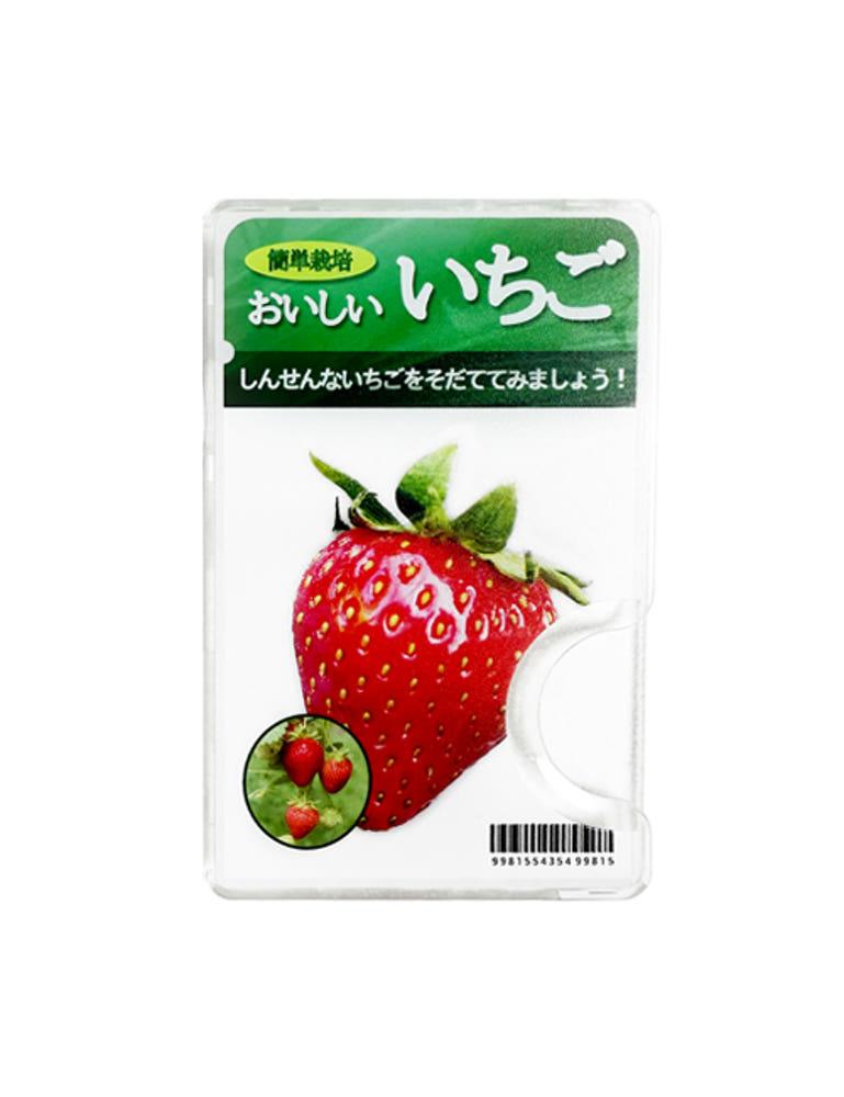 딸기 씨앗 맥세이프 투명 카드지갑