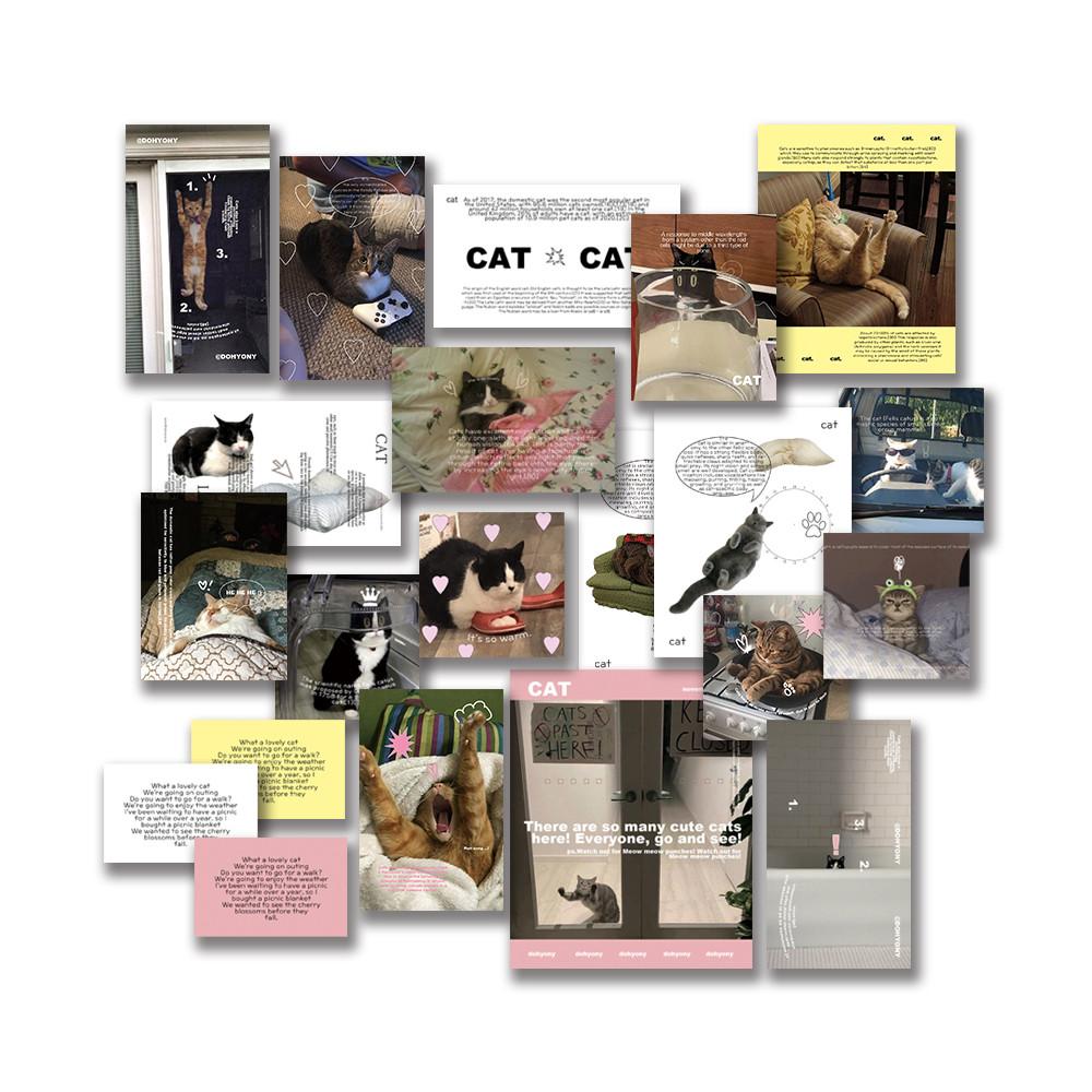 [ Cat love Pack ] 오브제스티커 오브제 다이어리꾸미기 다꾸 다꾸스티커 스티커