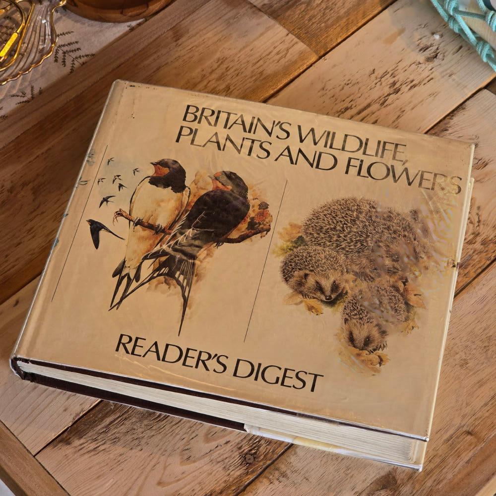 [중고] [빈티지] BRITAIN'S WILDLIFE, PLANTS AND FLOWERS 영국의 야생동물, 식물 및 꽃