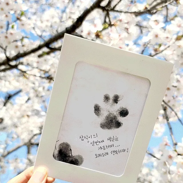 [1+1][강아지추억만들기] 발도장꾹추억꾹세트 타투 강아지 고양이 애견 애묘 추억 만들기 기념 액자 장례 [CISMAS]