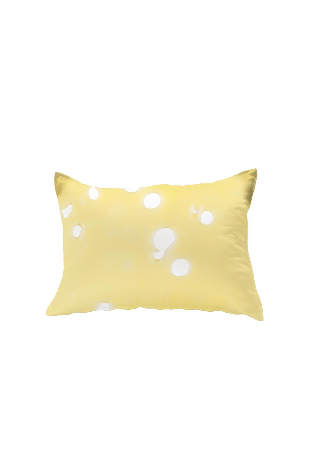 cheese pillow cover