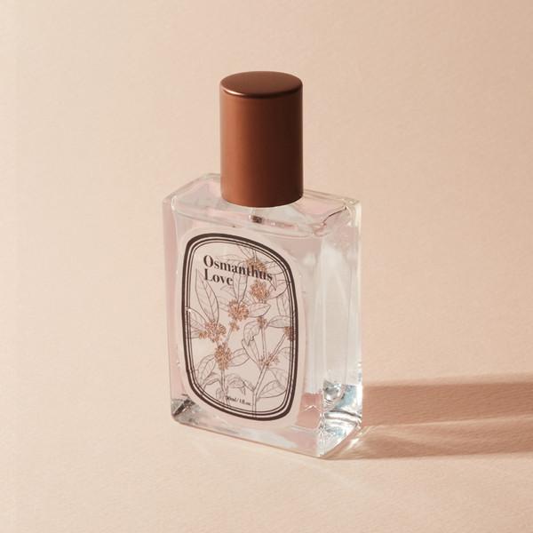 💗세일💗osmanthus love | 금목서 - floral