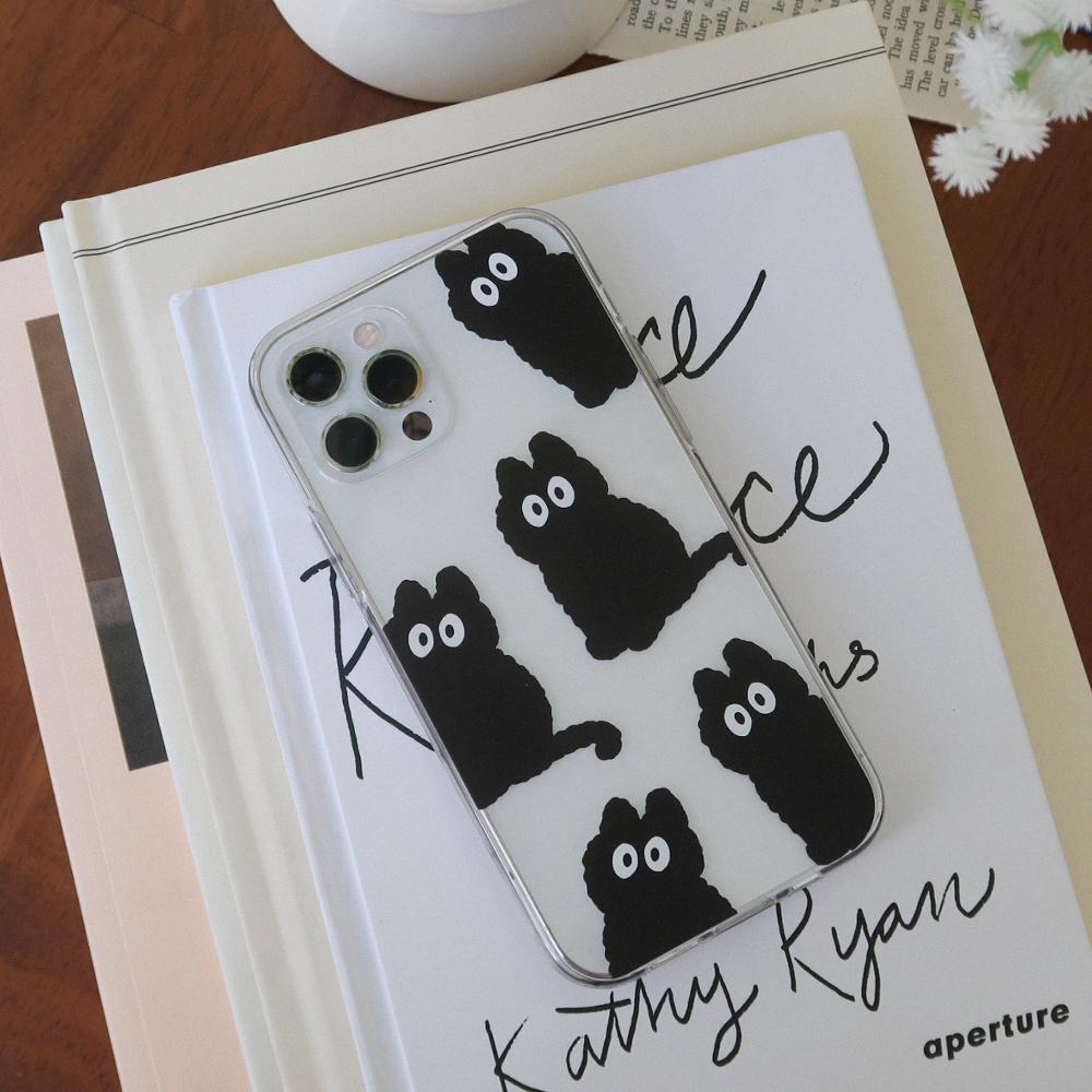 Black cat case