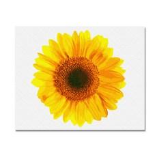 해바라기그림 그리기 DIY 유화 세트 황금빛 해바라기