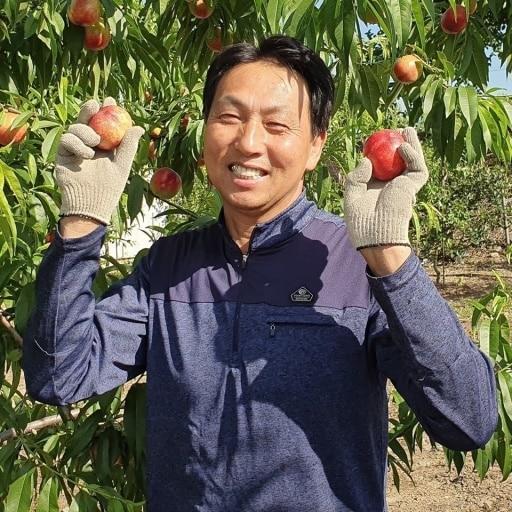 [6월 28일 순차출고] 프리미엄 고당도 신비복숭아 1.6kg