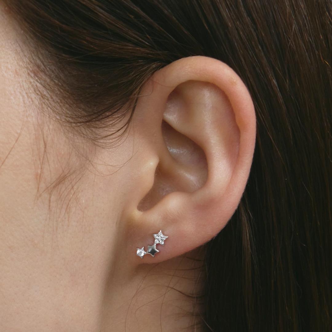 Porkuni Star Sign Earrings