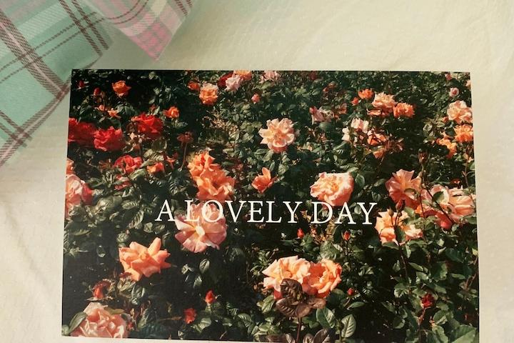 꽃사진 감성 인테리어 엽서 빈티지소품 벽인테리어 방꾸미기 엽서세트