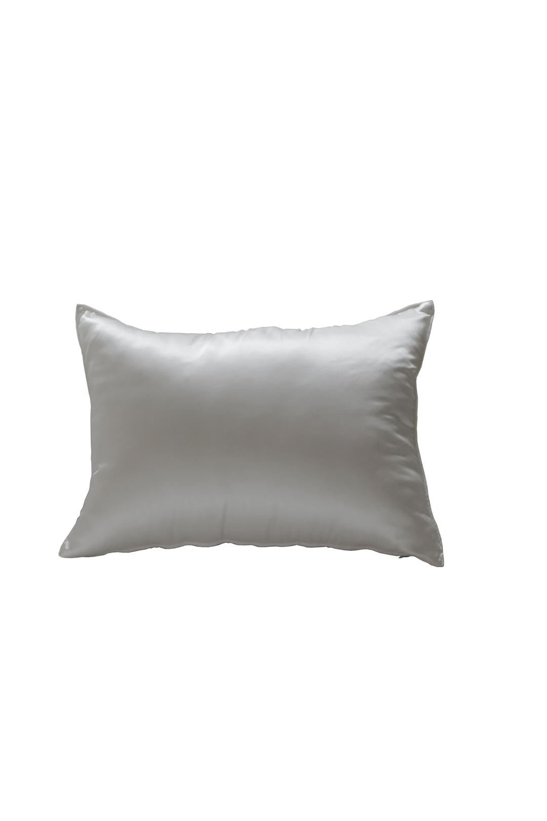 silver pillow cover
