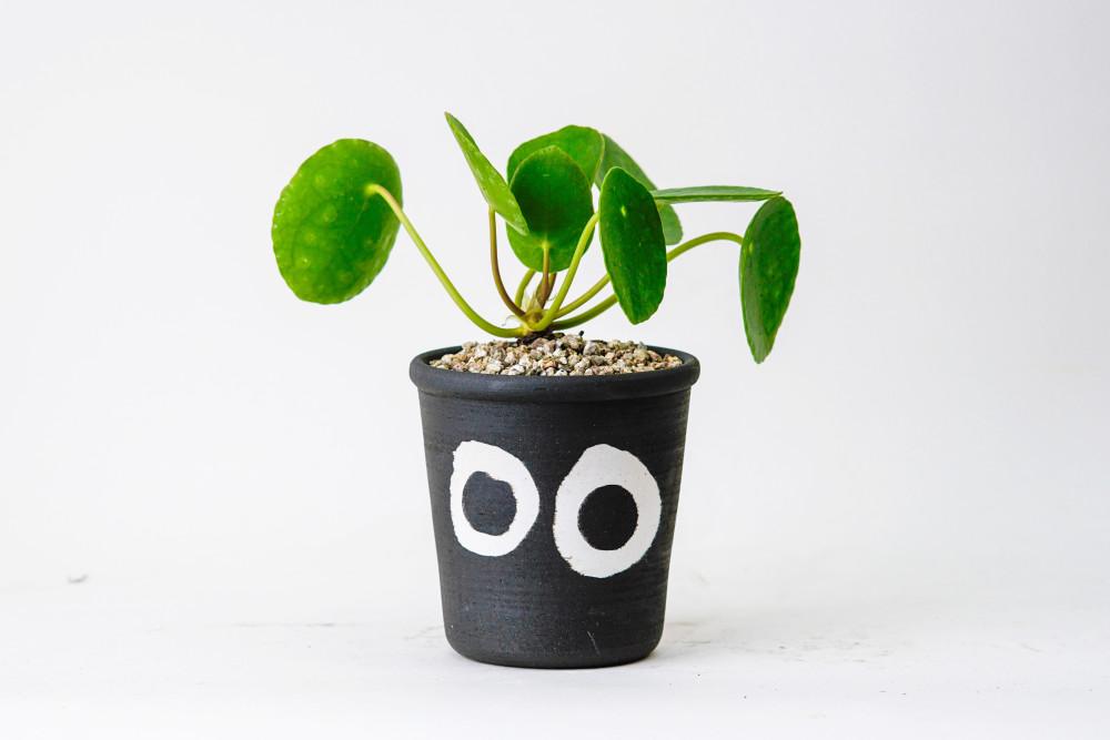 팟팟팟 눈깔팟 눈알팟 Eye Pot 수제토분 세라믹 화분