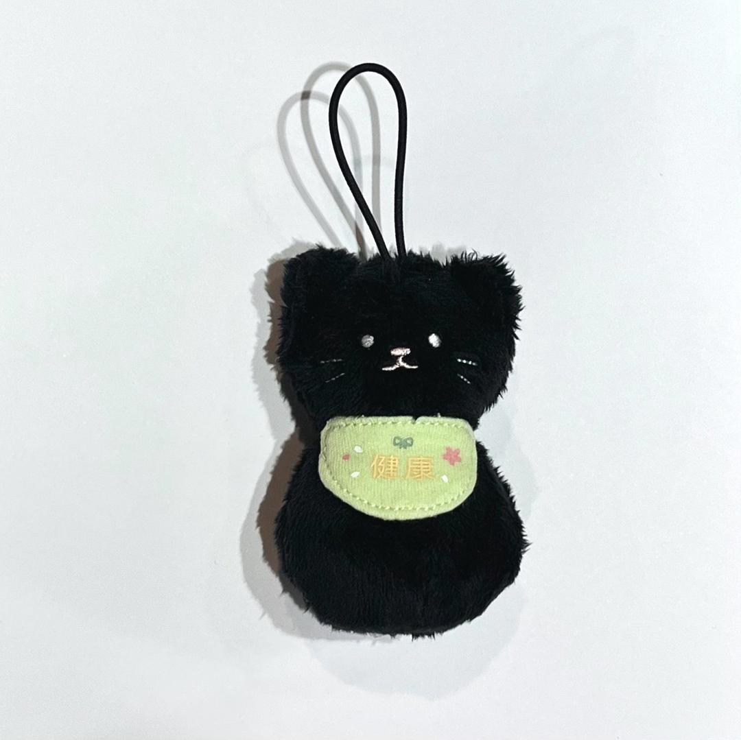 건강 검은고양이