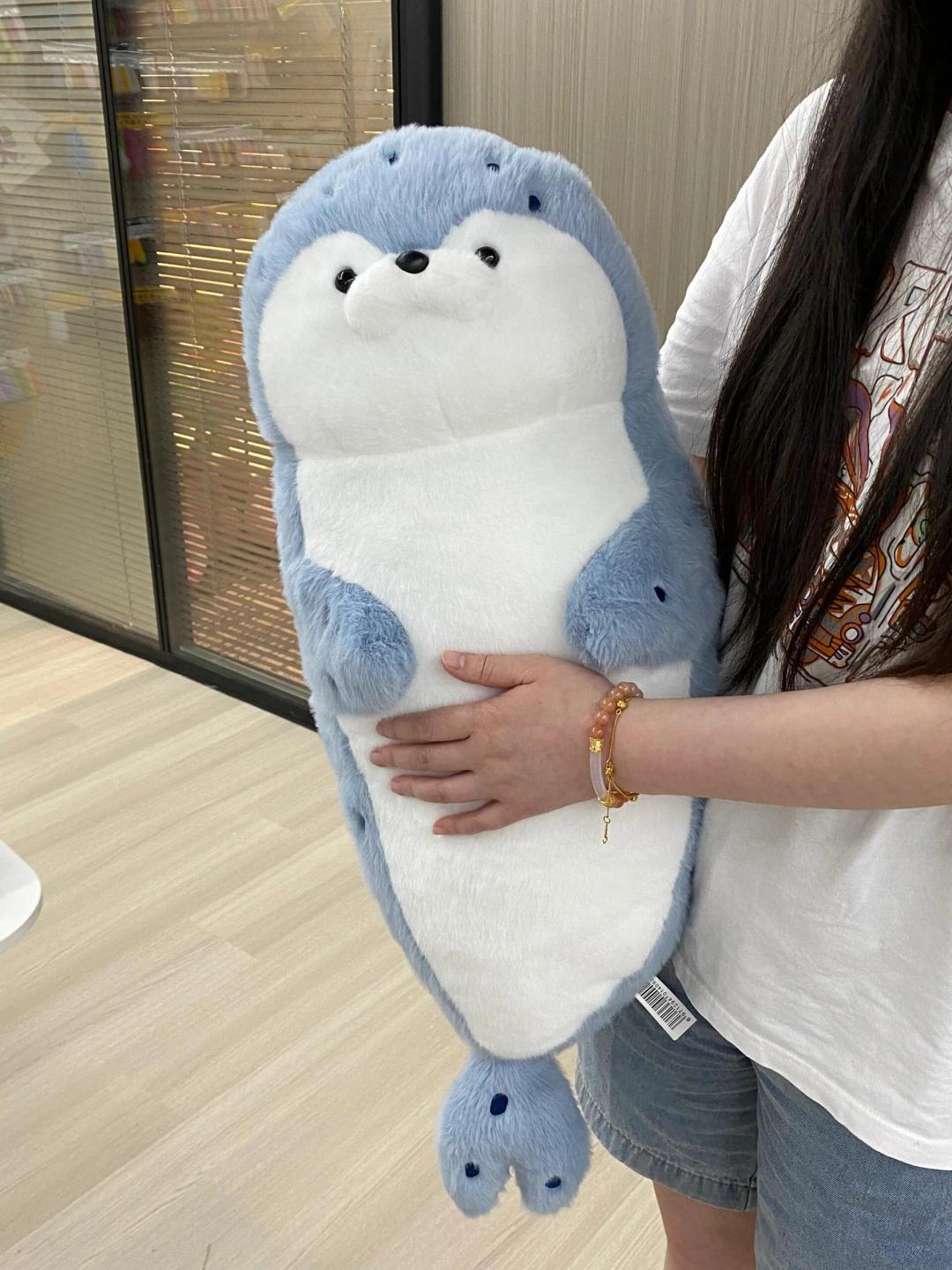 Seal 🦭🩵🤎🤍