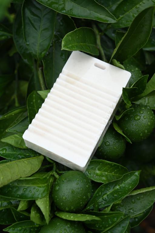 [4+1] 양말,속옷,면생리대 손빨래엔 청귤🍊빨래비누