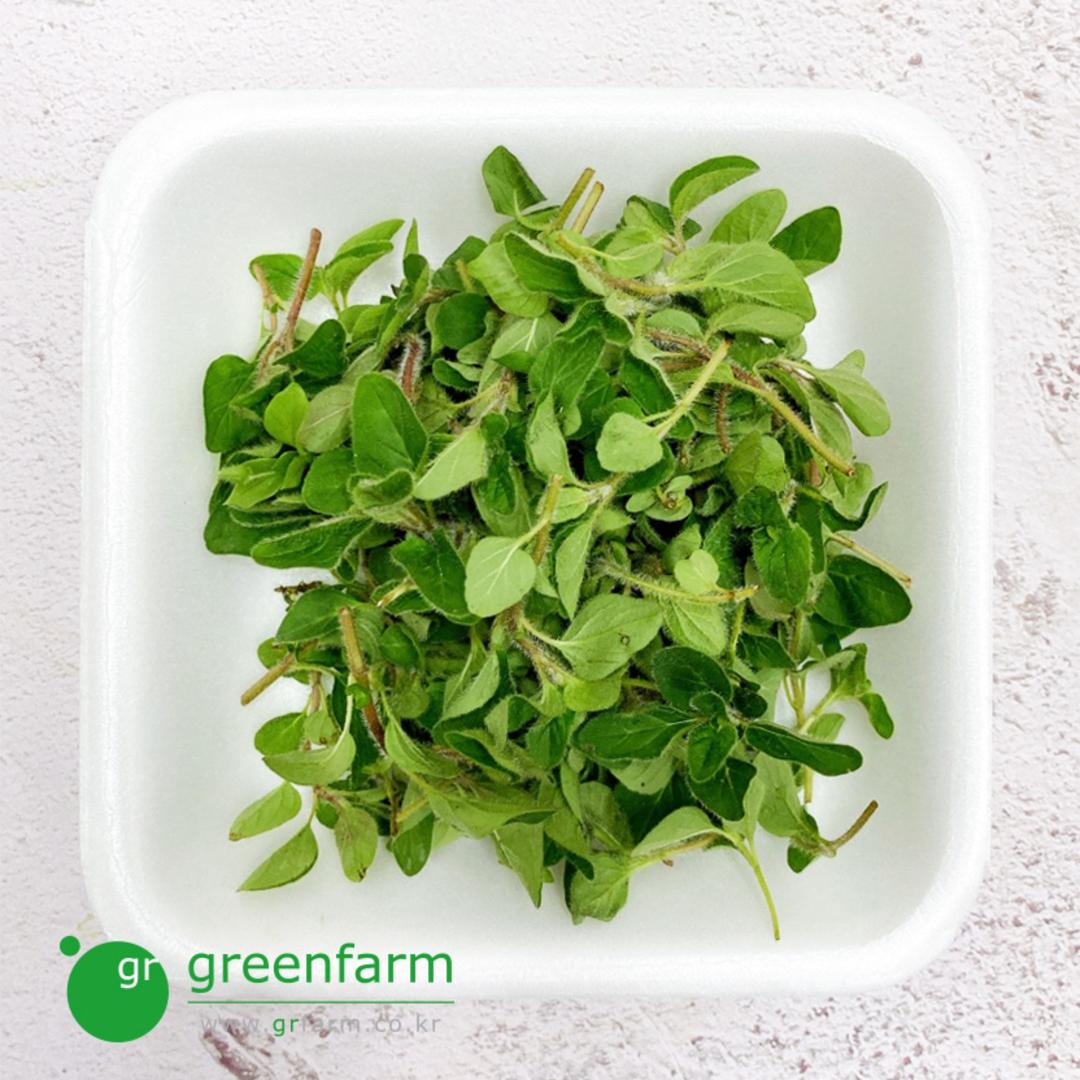 오레가노 1팩(약10g)