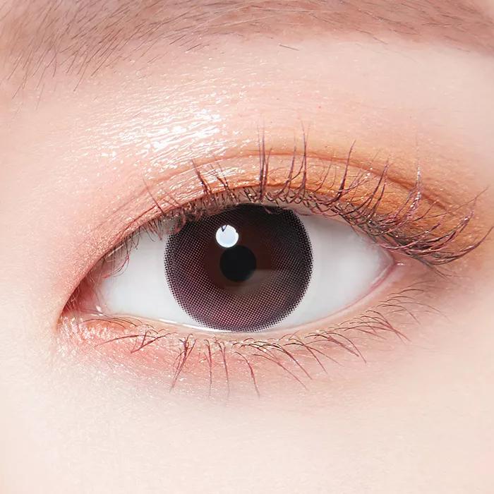 데이지드림 핑크