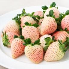 올프레쉬 GAP 인증 화이트 딸기