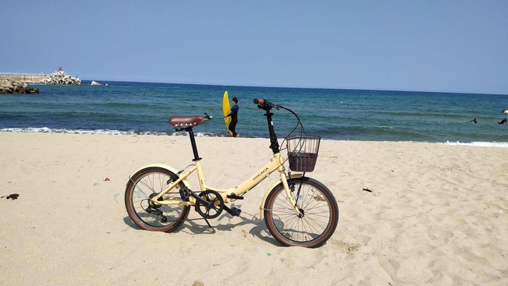 티티카카 워커 : 클래식 바스켓,시마노 7단 기어, 타고 내리기 쉬운 저상형, 알루미늄 접이식자전거 (신장 140부터 탑승가능, 바구니 제공), 워커A7 무광화이트 반조립