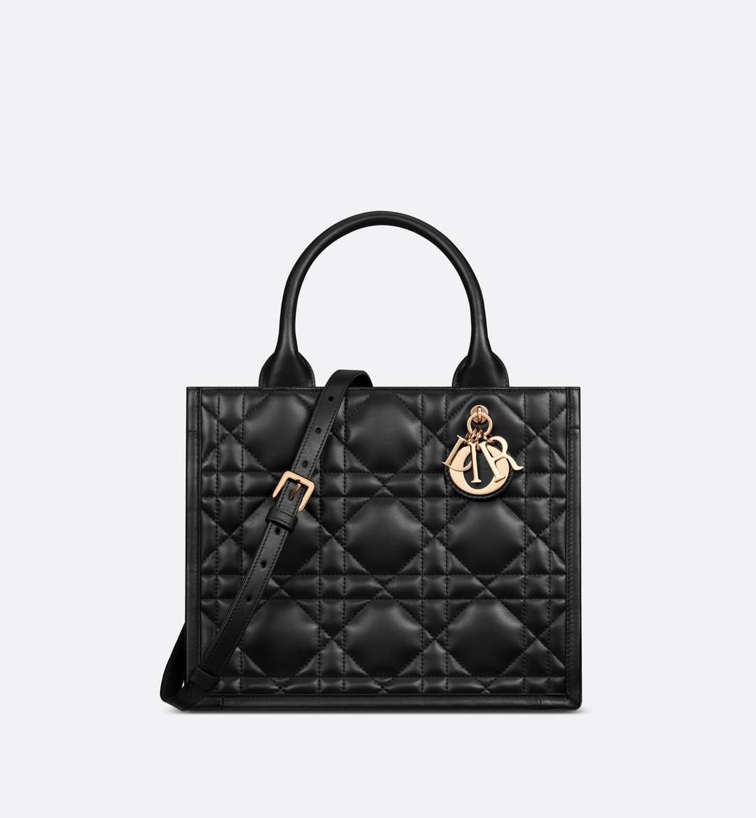 Dior Book Tote 스몰 백