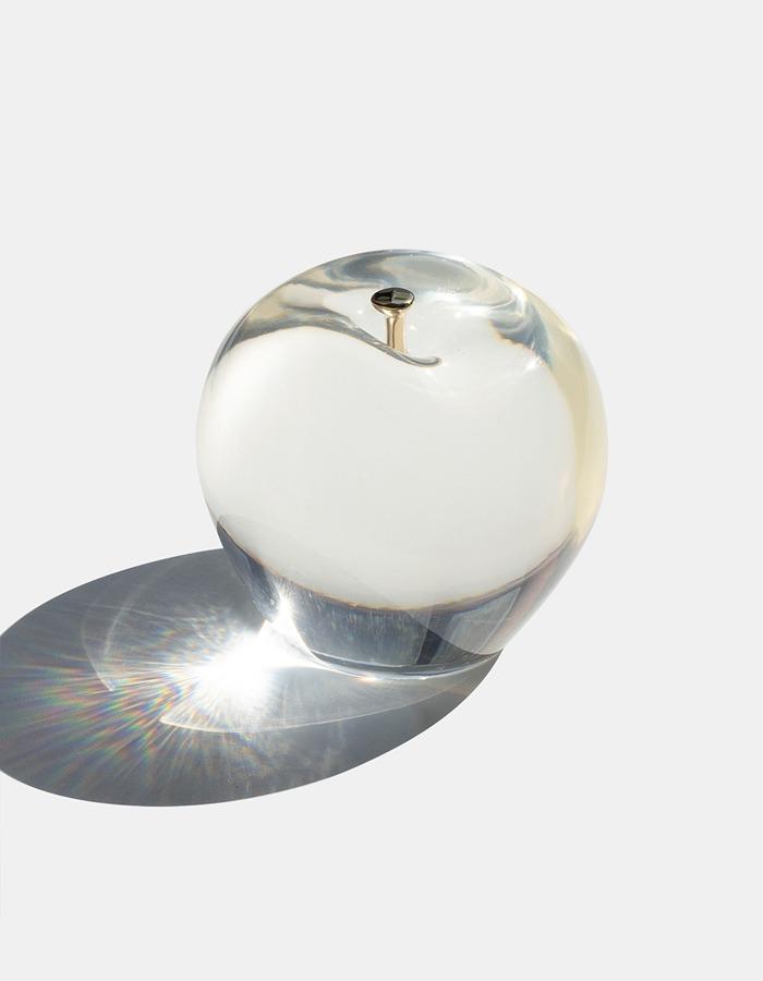 MIXTURESHOP) Big glossy apple : 사과문진