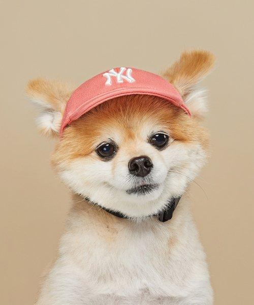 PET 루키 볼캡 NY (CORAL)