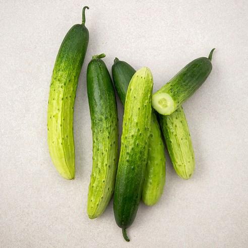 곰곰 국내산 백오이, 5개입, 1개 - 오이 | 쿠팡