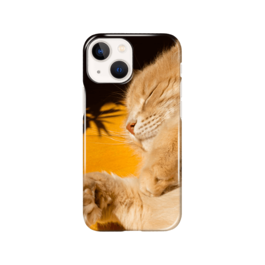 afternoon nap with my kitty hard case