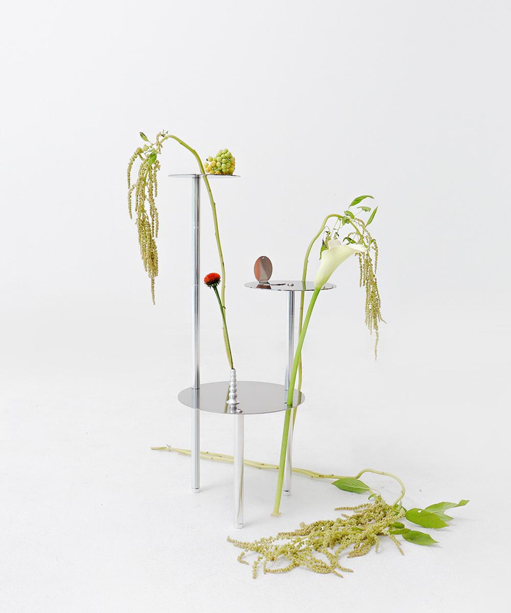 Plant Shelf 01