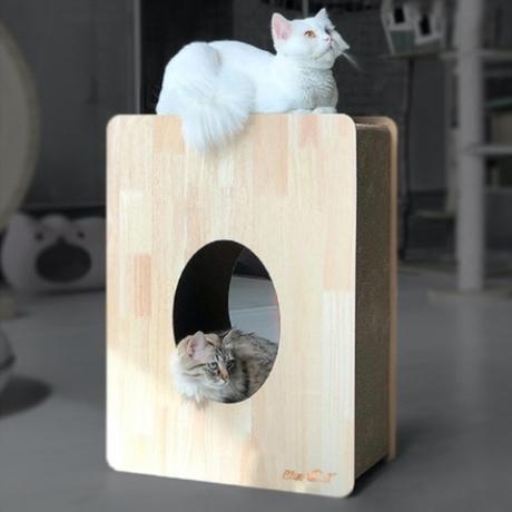 블루캣 스크래쳐 캣타워 네모_//고양이집/원목/펄프