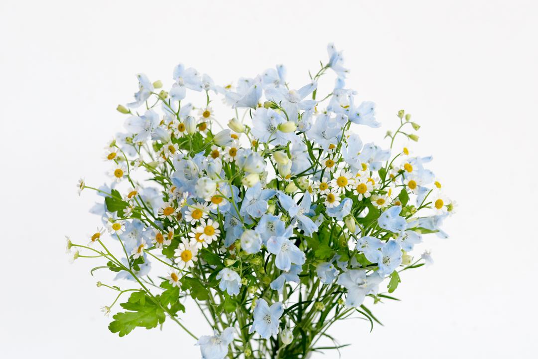 써니사이드 업 믹스