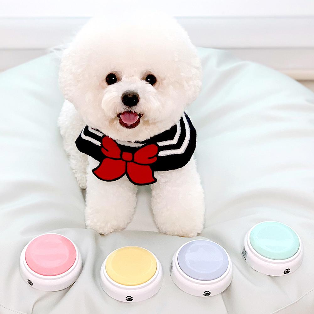 정전식 터치 버전업  베리앤펫 LED 터치톡 강아지 말하는 버튼 녹음벨 간식벨 녹음부저 훈련용 벨 번역기