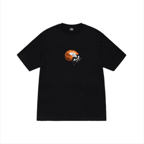 스투시 무당벌레 반팔 티셔츠 STUSSY LADYBUG TEE