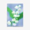 Muguet