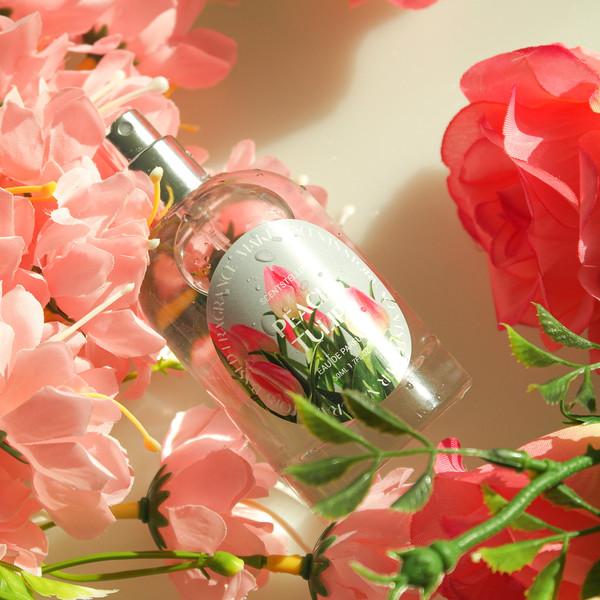 [SCENTSTELLER 센츠텔러] 피치 튤립 오 드 퍼퓸 50ML